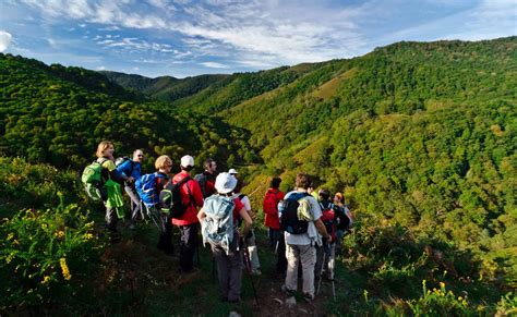 Excursiones, visitas guiadas y actividades en Lugo Provincia